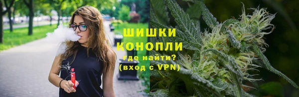 гидропоника Горняк