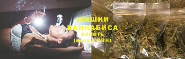 гидропоника Горняк