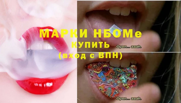 гидропоника Горняк