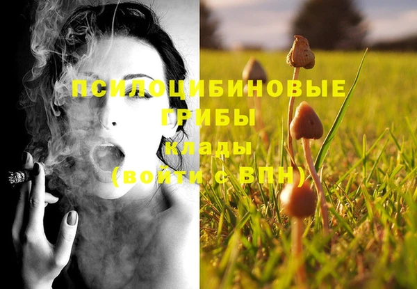 mdma Горнозаводск