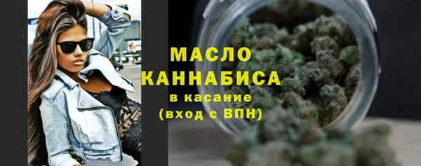 гидропоника Горняк