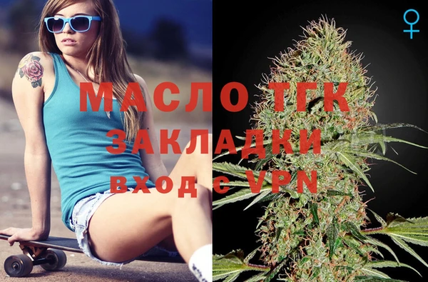 гидропоника Горняк
